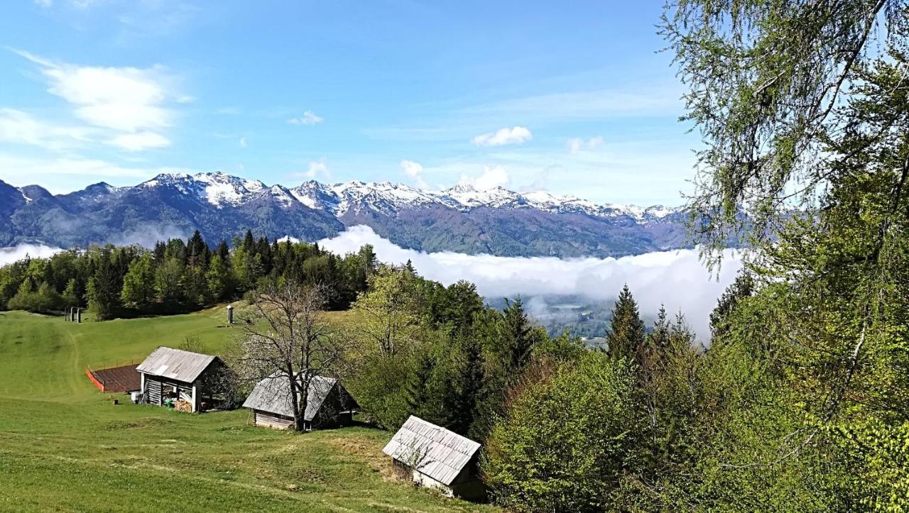 Apartments Pod Rodico Bohinjska Bistrica Buitenkant foto