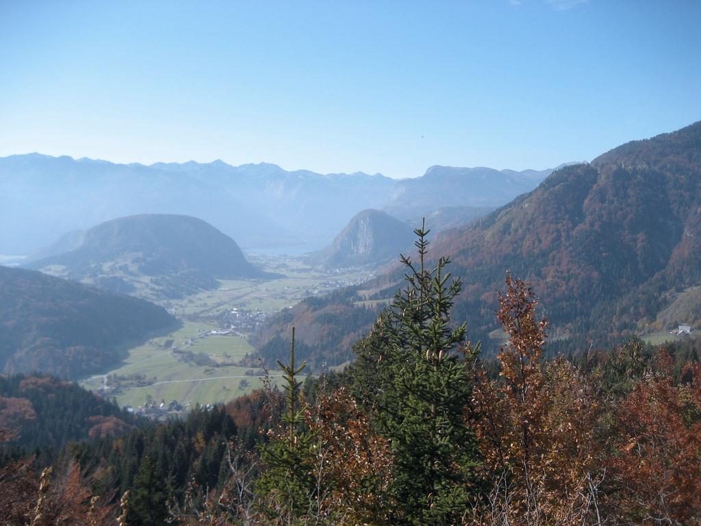 Apartments Pod Rodico Bohinjska Bistrica Buitenkant foto