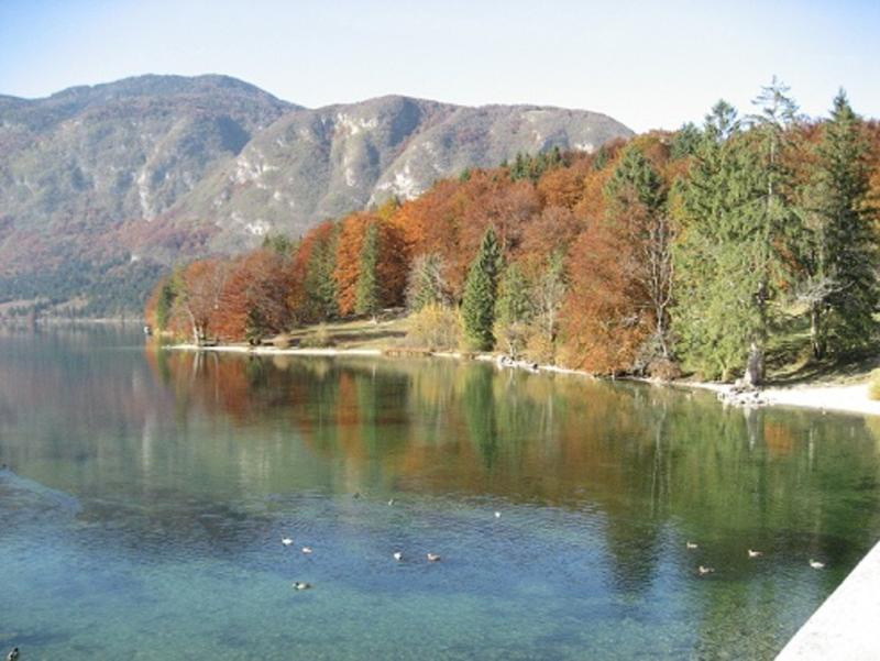 Apartments Pod Rodico Bohinjska Bistrica Buitenkant foto