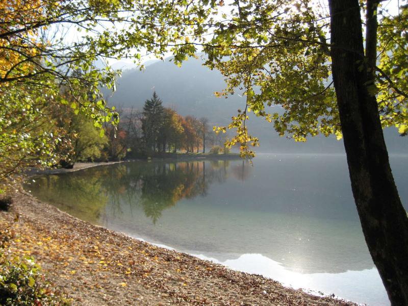 Apartments Pod Rodico Bohinjska Bistrica Buitenkant foto